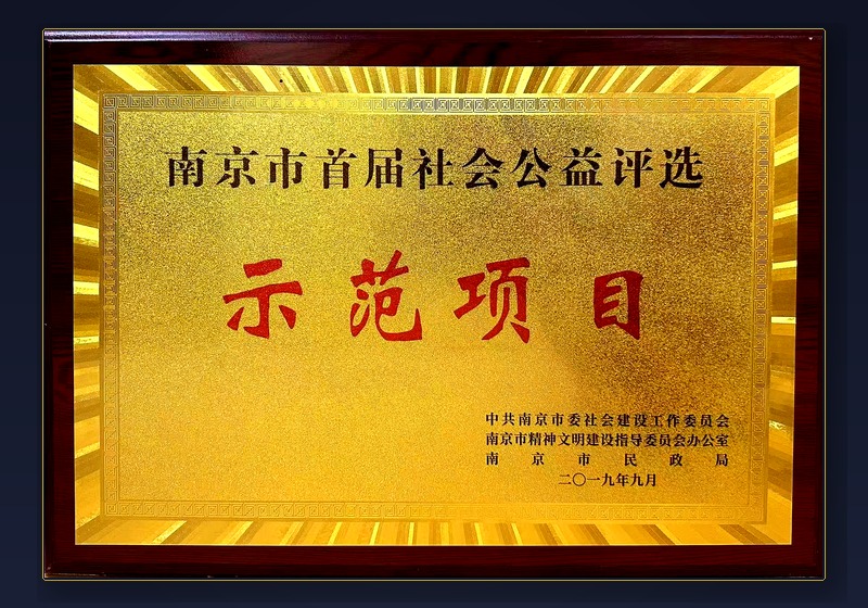 残疾人康复示范项目